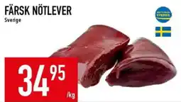 Matdax Färsk nötlever erbjuda