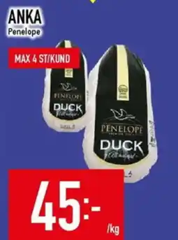 Matdax Anka penelope duck erbjuda