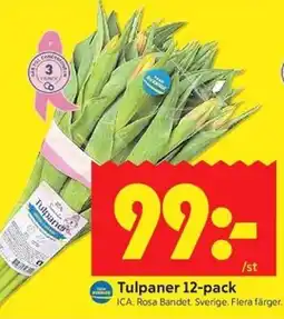 ICA Kvantum Tulpaner 12-pack erbjuda