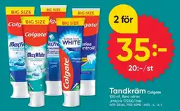DollarStore Tandkräm Colgate erbjuda