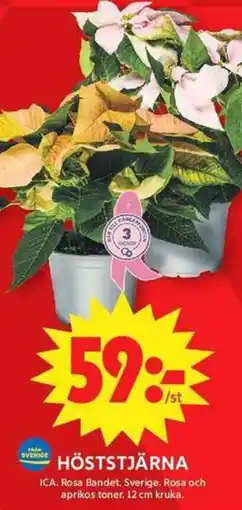 ICA Maxi ICA Höststjärna erbjuda