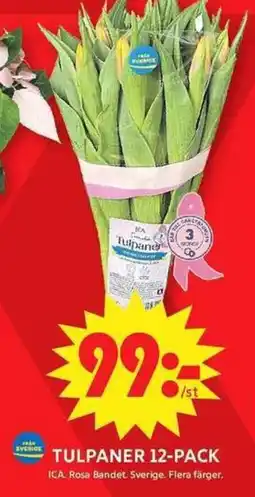 ICA Maxi Tulpaner 12-pack erbjuda