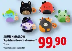 Lidl Squishmallow Squishmallows Halloween erbjuda
