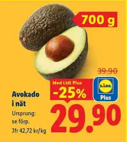 Lidl Avokado i nät erbjuda