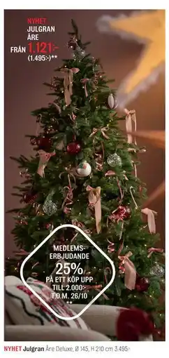 Mio JULGRAN ÅRE erbjuda