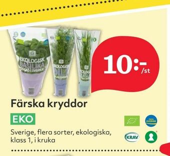 Hemköp Färska kryddor erbjuda