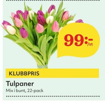 Hemköp Tulpaner erbjuda