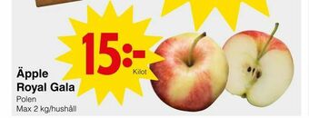 Matöppet Äpple Royal Gala erbjuda