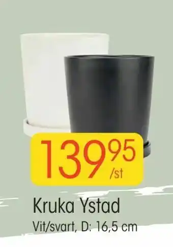 EKO Kruka Ystad erbjuda