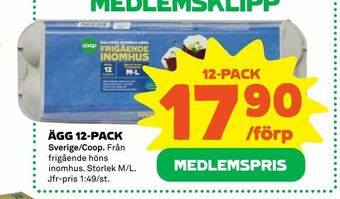 Coop Ägg 12-pack erbjuda