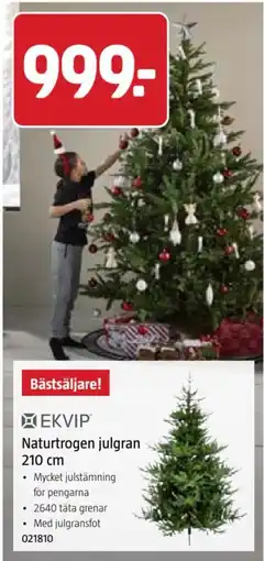 Jula Ekvip naturtrogen julgran erbjuda