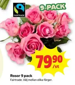 Stora Coop Rosor 9 pack erbjuda