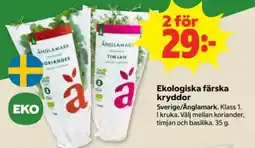 Stora Coop Änglamark ekologiska färska kryddor erbjuda