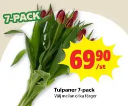 Stora Coop Tulpaner 7-pack erbjuda