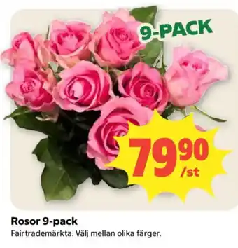 Rosor 9-pack