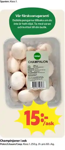 Coop Coop champinjoner erbjuda