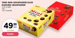 Scandinavian Park Toms mini skildpadder eller karamel skildpadder erbjuda