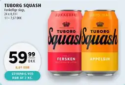 Scandinavian Park Tuborg squash erbjuda