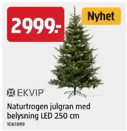 Jula Ekvip naturtrogen julgran med belysning led 250 cm erbjuda