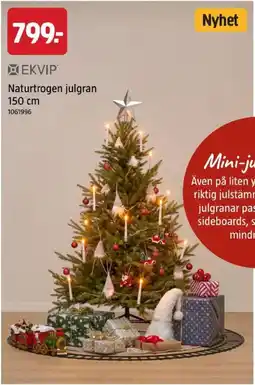 Jula Ekvip naturtrogen julgran erbjuda