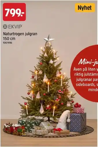 Ekvip naturtrogen julgran
