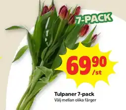 Coop Forum Tulpaner 7-pack erbjuda