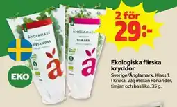 Stora Coop Ekologiska färska kryddor erbjuda