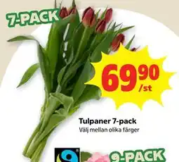 Stora Coop Tulpaner 7-pack erbjuda