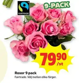 Stora Coop Rosor 9 pack erbjuda