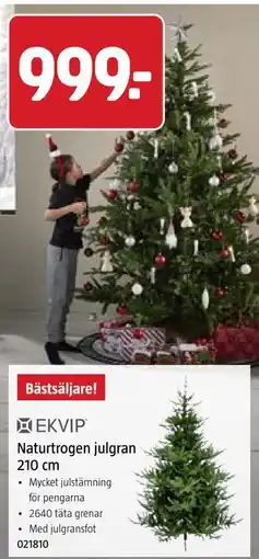 Jula Naturtrogen julgran 210 cm erbjuda