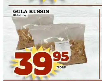 Gula russin