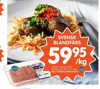 Tempo Svensk blandfärs erbjuda