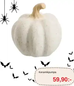 Blomsterlandet Keramikpumpa erbjuda