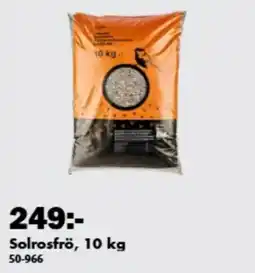 Biltema Solrosfrö erbjuda