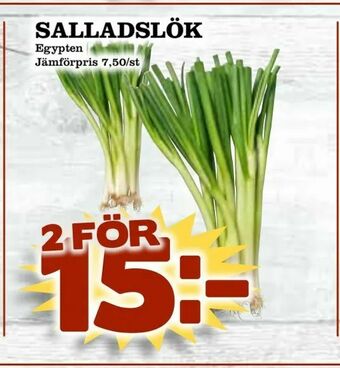 Matvärlden Tensta Salladslök erbjuda