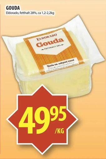 Gouda