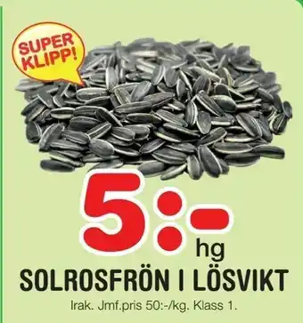 Solrosfrön i lösvikt