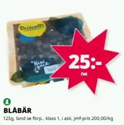 Tempo Driscoll's blåbär erbjuda