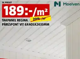 Bauhaus Moelven takpanel regina pärlspont vit erbjuda