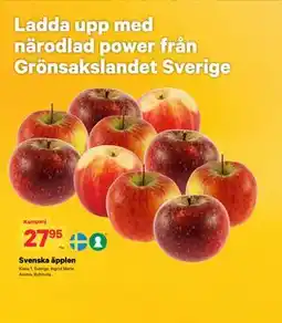 City Gross Svenska äpplen erbjuda