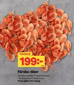 City Gross Färska räkor erbjuda