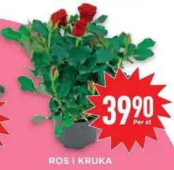 Willys Hemma ROS I KRUKA erbjuda
