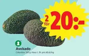 Avokado