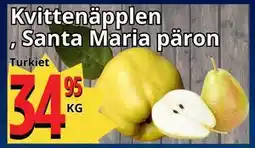 Supergrossen Kvittenäpplen, Santa Maria päron erbjuda
