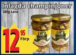 Supergrossen Inlagda champinjoner erbjuda