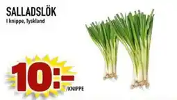 Din Mat Salladslök erbjuda