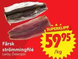 Nya Pulsen Färsk strömmingfilé erbjuda