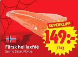 Nya Pulsen Färsk hel laxfilé erbjuda
