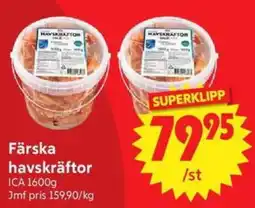 Nya Pulsen Färska havskräftor erbjuda