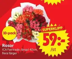 Nya Pulsen Rosor erbjuda